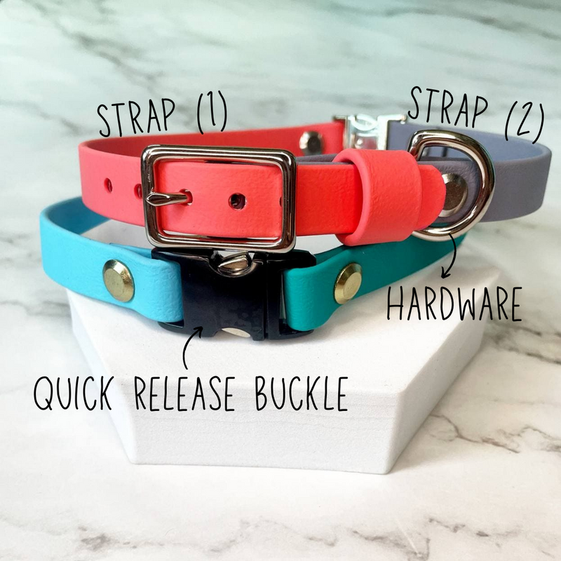 Standard Adjustable Collar with Quick Release Buckle