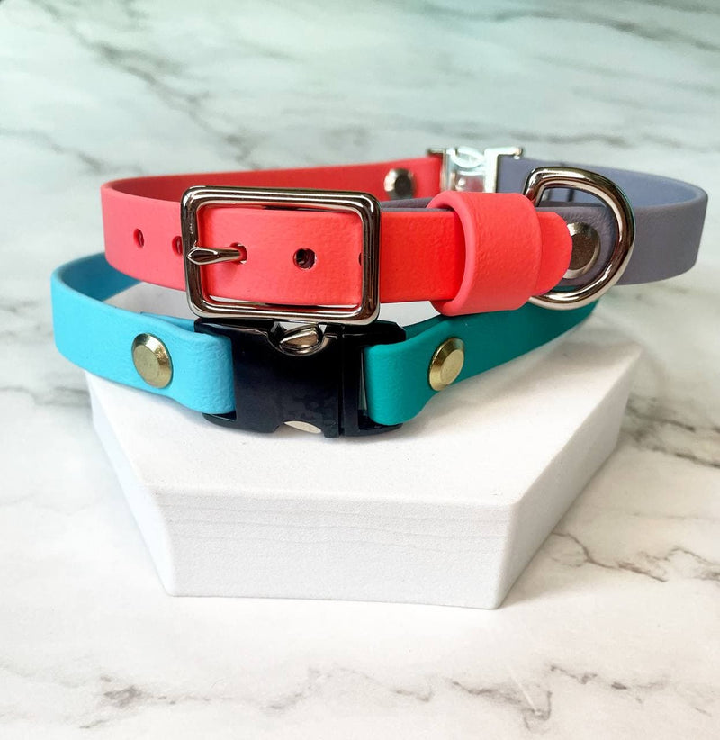 Standard Adjustable Collar with Quick Release Buckle